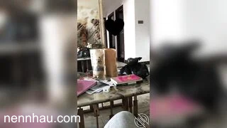 Em gái cứ được nghỉ cuối tuần là lại địt nhau loạn luân với anh kế P1 siêu phẩm