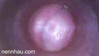 Muốn biết bên trong cái lồn như thế nào hãy xem video này không thể bỏ lỡ
