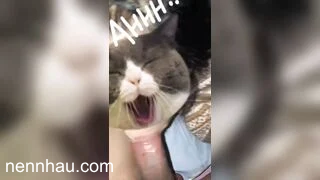 yêu phải bé dâm là sung sướng như thế này sao - phần 4 cực hot