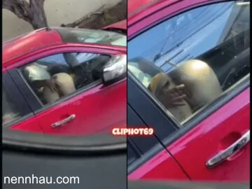 Quay Lén Em Gái Bú Cu Và Bị Móc Lồn Trên Xe chất lượng cao