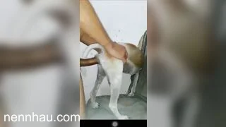 Cặc bự chịch chó siêu hot
