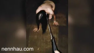 Mới nhất Dắt chó cái đi dạo