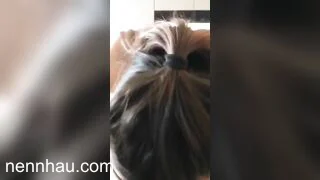 Tuyệt đỉnh Liếm cà mút cu dâm đãng kích thích siêu dâm