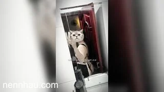 Mới nhất mua điện thoại cũ còn sót clip của chủ cũ