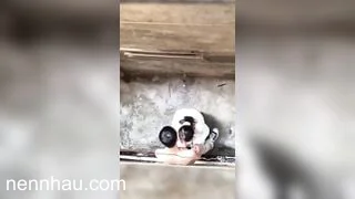 hai em học sinh vào hẻm vắng bú cu địt nhau cực nứng
