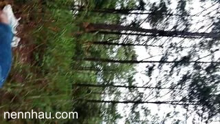 lên rừng địt nhau với bé sinh viên cặc xỏ khuyên thế kia nóng bỏng