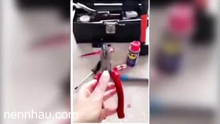 Cực đỉnh Em gái thủ dâm đúc cây kiềm vào lồn