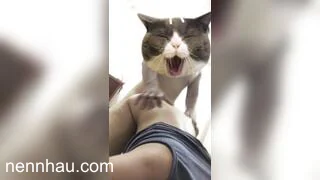 Bé sinh viên 2k5 vú hồng bướm lúc nào cũng chảy nước vì thèm chịch cực phẩm