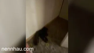 Bé sinh viên cực phẩm bộ sưu tập những khoảnh khắc dễ thương cực nứng bên em - phần 2 cực hot