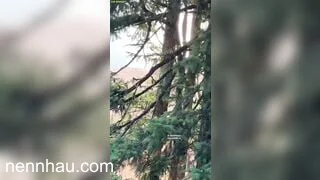 Siêu nứng gái xinh đi leo núi bú cu cho người yêu,cảnh này mà doggy thì hết bài
