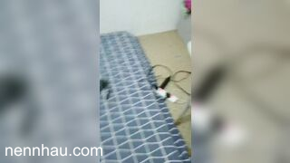 Cực kỳ nóng Anh trai về quê nhà còn mỗi chị dâu dâm đãng mà thằng em không tha