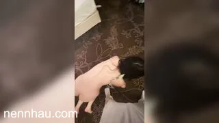 thú vui của bọn cambuchia bắt gái xinh làm con chó để làm vui,tội nghiệp em gái chất lượng cao
