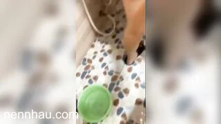 Tuyệt đỉnh Xin vô tắm chung cùng cô bạn thân