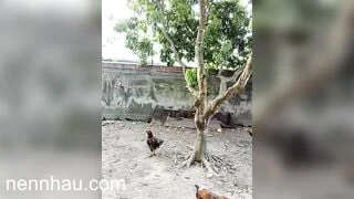 Siêu hot Chị Gái Live Thủ Dâm Season 2 Tập 27