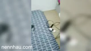Siêu ngon Loạn luân em chồng gả đụ chị dâu, là vợ mới cưới được 1 tuần của anh ruột.