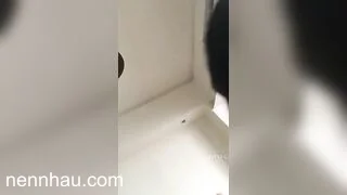Đỉnh của chóp CHÚ ƠI ,BỐ MẸ CHÁU ĐI VẮNG RỒI, CHÚ SANG ĐÂY ĐI