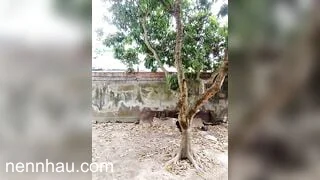 Chị Gái Live Thủ Dâm Season 2 Tập 40 nóng bỏng