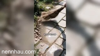 Nóng bỏng Clip sex AI xuyên không về cổ đại đụ luôn cô tiểu thư xinh đẹp dâm đãng