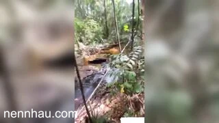 đi tour với gia đình mà anh dâm dục quá lôi em vào rừng doggy cực phẩm