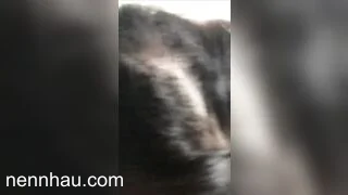 Bé sinh viên mình dây bị thằng cặc bự ép bú cặc lút cán,lồn thì khít nhét mãi mới vừa siêu phẩm