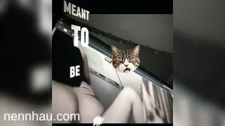 Cực đỉnh chịch ghệ rồi bâth live cho mọi người cũng xem