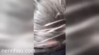 Địt nhau cùng em ghệ xinh dâm dục phần 1 chất lượng cao