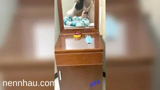Hot nhất E sv 2k4 cần xã lũ gấp, làm anh toát mồ hôi lên bờ xuống ruộng vì e
